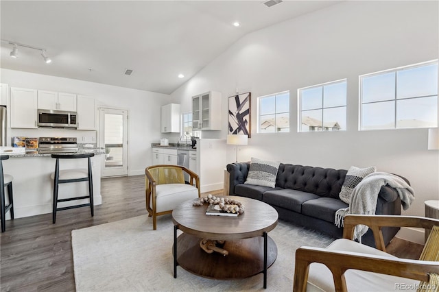 living room featuring lofted ceiling, sink, dark hardwood / wood-style flooring, and rail lighting