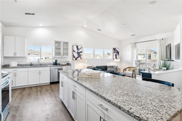 9471 Ashbury Cir Unit 202, Parker, CO 80134 - kitchen with stainless steel appliances, vaulted ceiling, light stone counters, white cabinetry, and light wood-style flooring