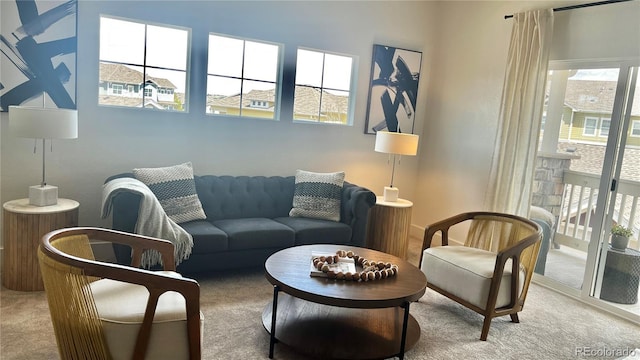 9471 Ashbury Cir Unit 202, Parker, CO 80134 - view of carpeted living room