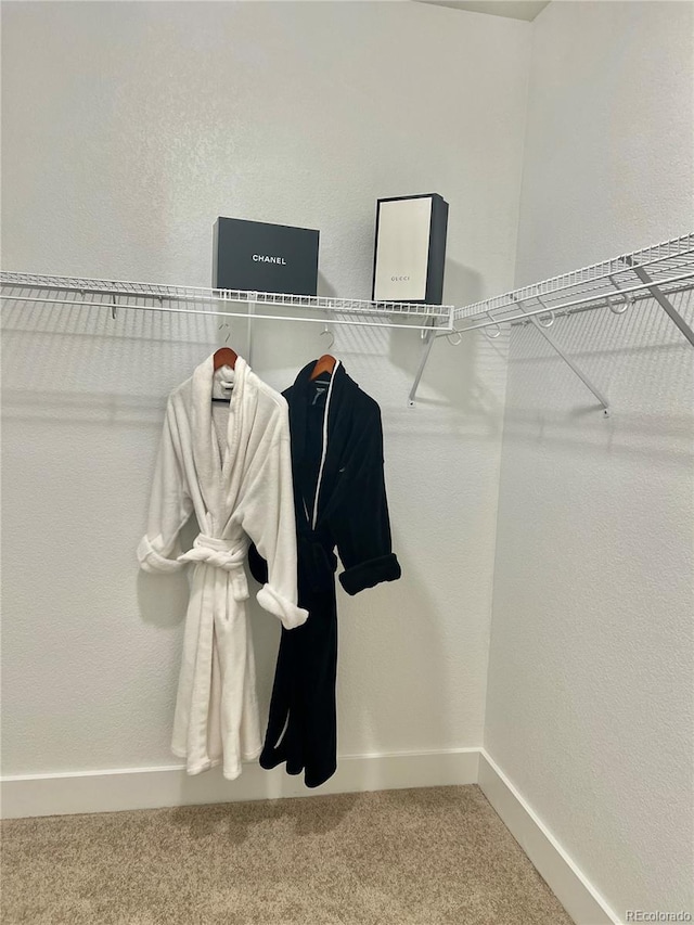 9471 Ashbury Cir Unit 202, Parker, CO 80134 - walk in closet with carpet