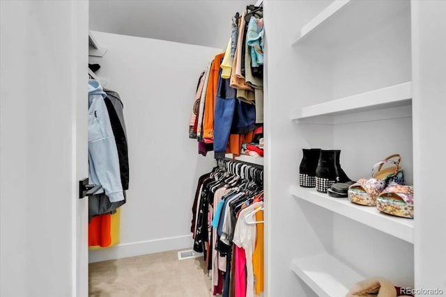 spacious closet with light carpet