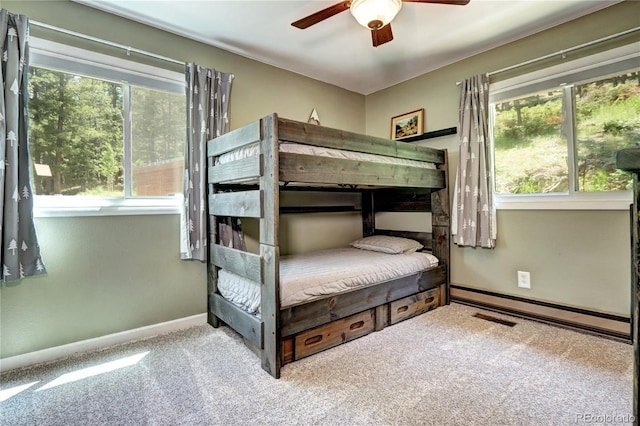 10381 Hondah Dr, Littleton, CO 80127 - photo 17