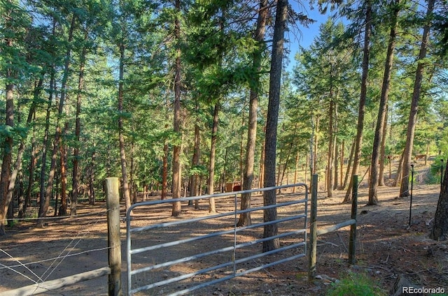 10381 Hondah Dr, Littleton, CO 80127 - photo 46