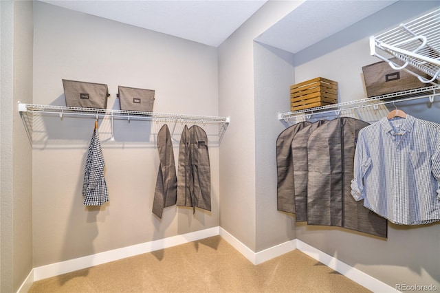 walk in closet with carpet floors