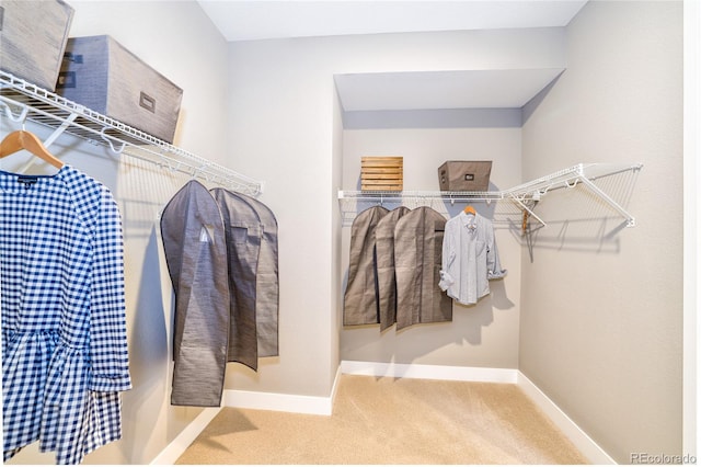 spacious closet featuring carpet