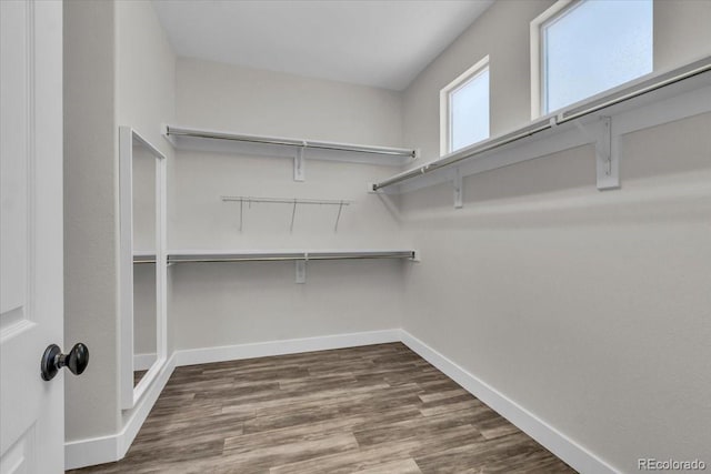 2142 Paint Pony Cir, Castle Rock, CO 80108 - walk in closet with wood finished floors