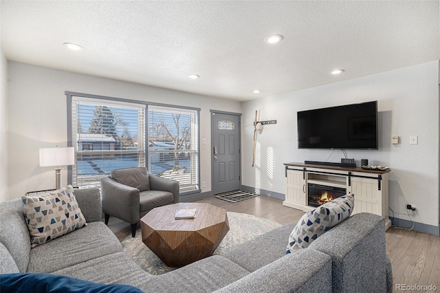 living room with hardwood / wood-style floors