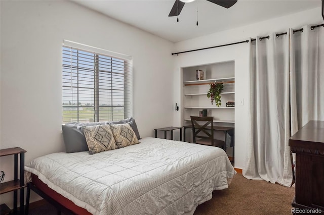 4360 Los Ranchitos, Peyton, CO 80831 - photo 17