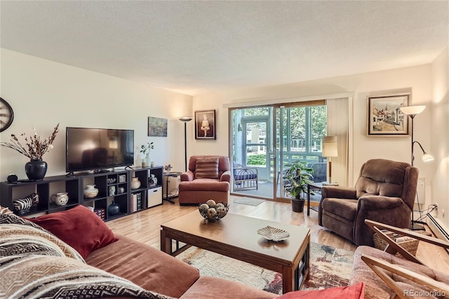 living room featuring hardwood / wood-style flooring and a textured ceiling