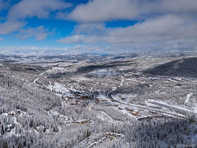 261 W Meadow Mile Unit 2, Fraser, CO 80442