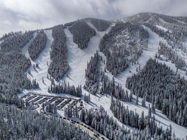 261 W Meadow Mile Unit 2, Fraser, CO 80442