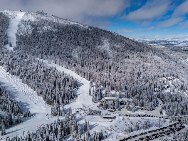 261 W Meadow Mile Unit 2, Fraser, CO 80442