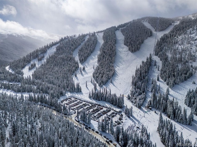 261 W Meadow Mile Unit 2, Fraser, CO 80442