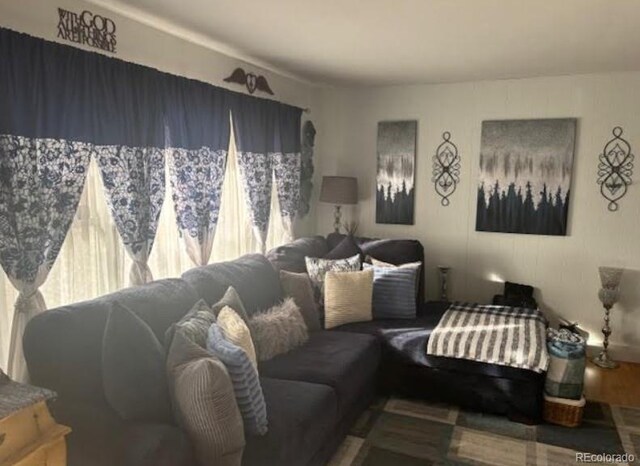 living area featuring wood finished floors