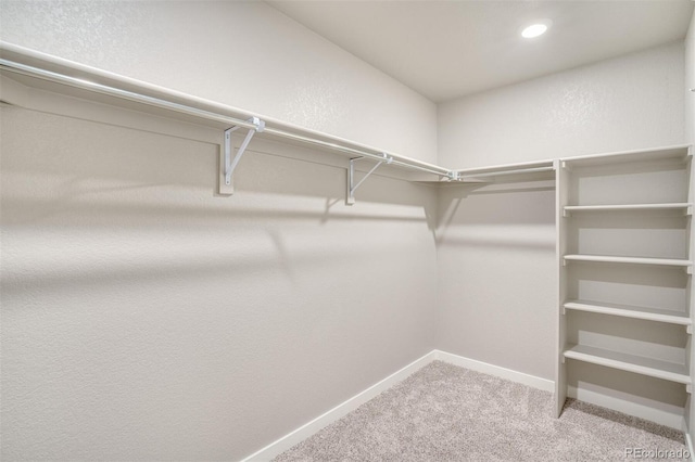 13466 Valentia St, Thornton, CO 80602 - spacious closet featuring carpet flooring