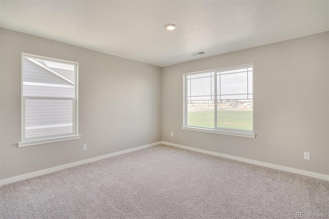 13466 Valentia St, Thornton, CO 80602 - spare room with carpet floors, baseboards, and a textured ceiling