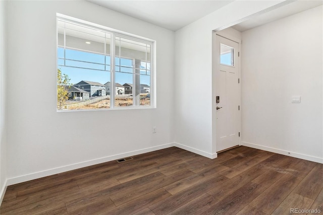 foyer entrance featuring plenty of natural light and dark hardwood / wood-style flooring