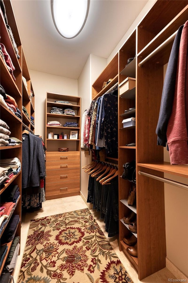 view of spacious closet