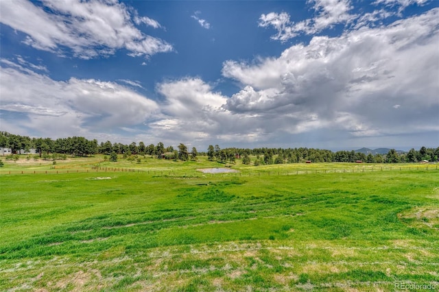 view of local wilderness with a rural view