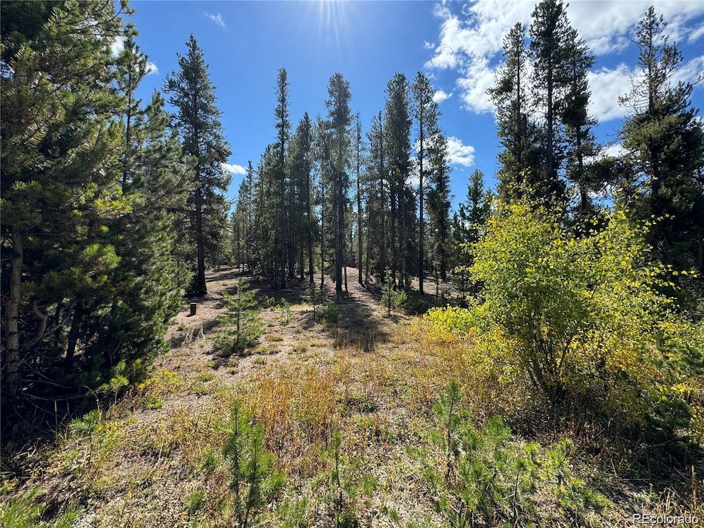 517 Augusta Dr, Leadville, CO 80461 - photo 1