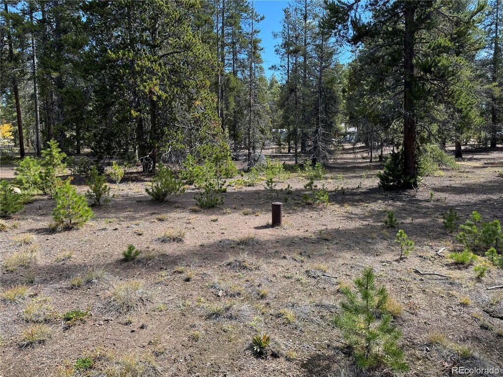 517 Augusta Dr, Leadville, CO 80461 - photo 2