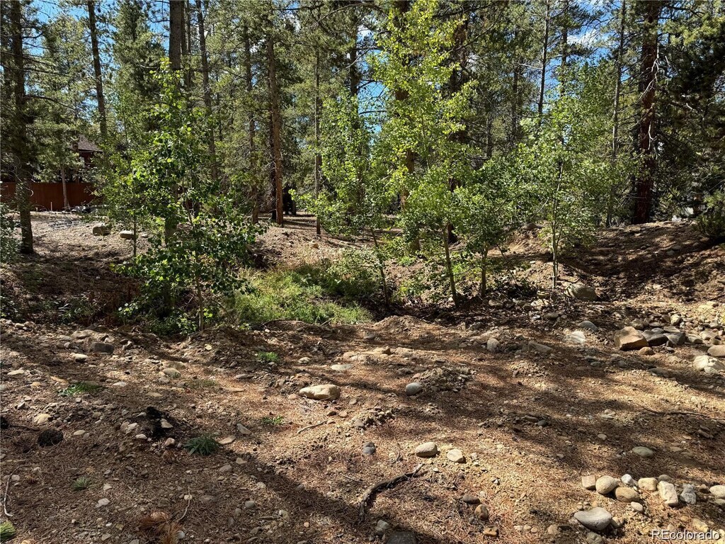 517 Augusta Dr, Leadville, CO 80461 - photo 3