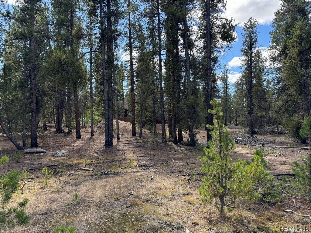 517 Augusta Dr, Leadville, CO 80461 - photo 4
