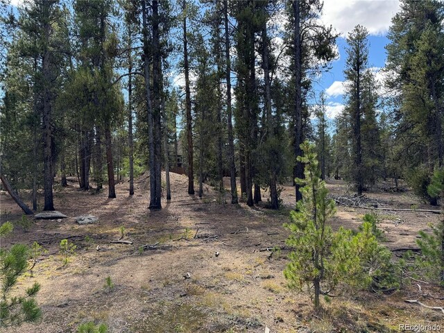 517 Augusta Dr, Leadville, CO 80461 - photo 4