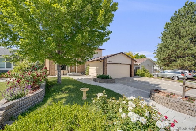 3870 S Ouray Way, Aurora, CO 80013 - view of property hidden behind natural elements featuring brick siding, driveway, an attached garage, and a front lawn