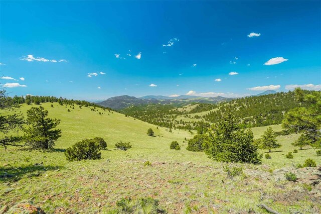 00 County Road 102, Guffey, CO 80820 - photo 3