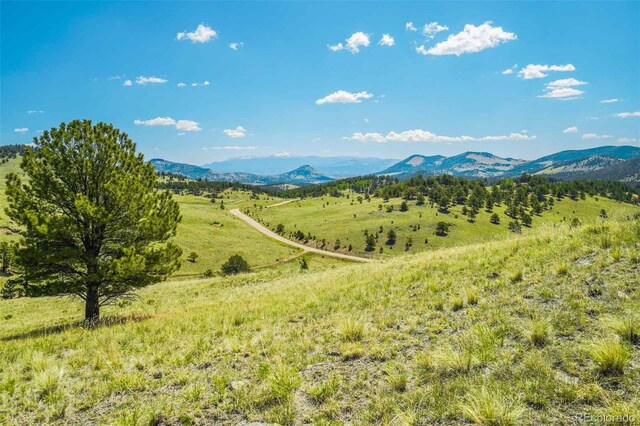 00 County Road 102, Guffey, CO 80820 - photo 4