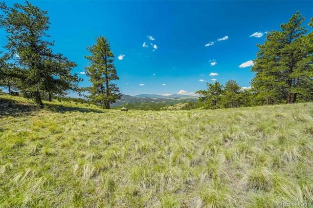 00 County Road 102, Guffey, CO 80820 - photo 5