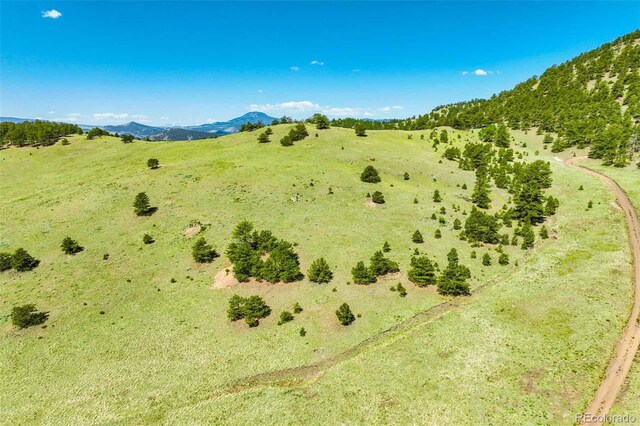 00 County Road 102, Guffey, CO 80820 - photo 7