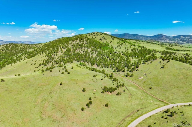 00 County Road 102, Guffey, CO 80820 - photo 8
