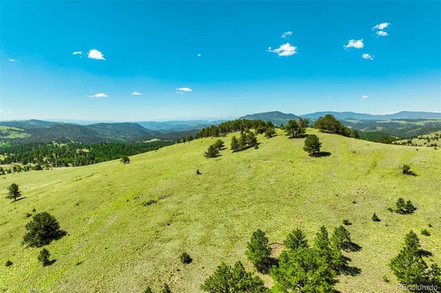 00 County Road 102, Guffey, CO 80820 - photo 9