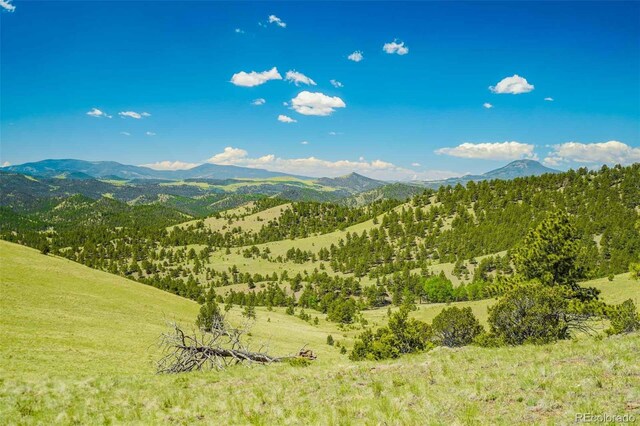 00 County Road 102, Guffey, CO 80820 - photo 11