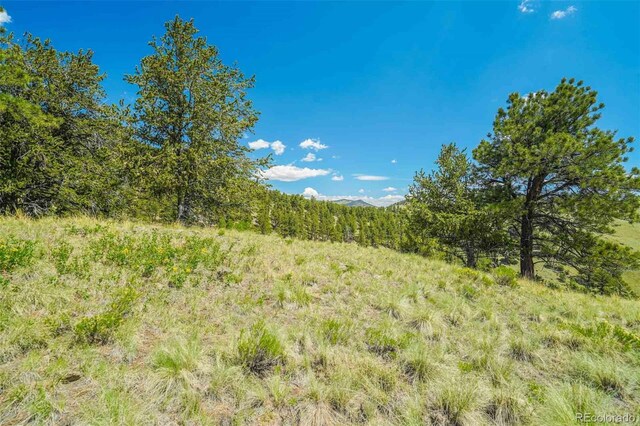 00 County Road 102, Guffey, CO 80820 - photo 12