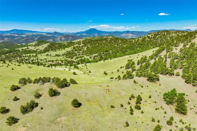 00 County Road 102, Guffey, CO 80820 - photo 13