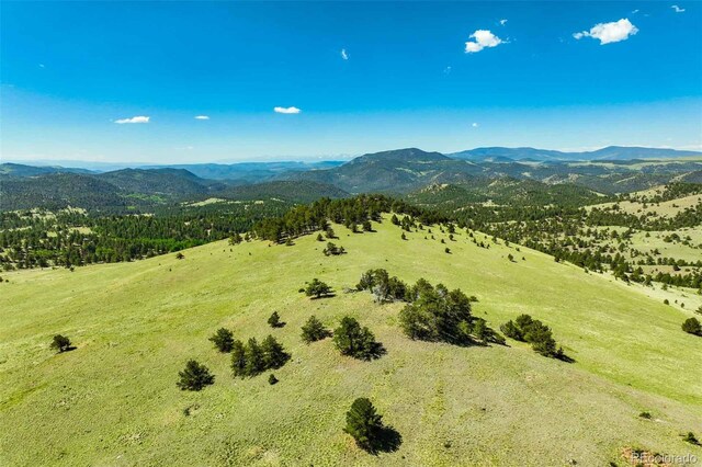 00 County Road 102, Guffey, CO 80820 - photo 17