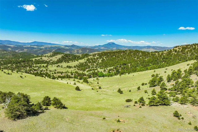 00 County Road 102, Guffey, CO 80820 - photo 18