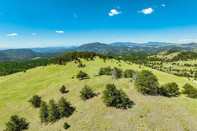 00 County Road 102, Guffey, CO 80820 - photo 19