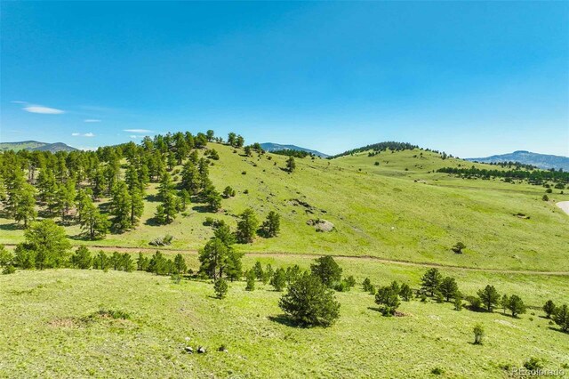 00 County Road 102, Guffey, CO 80820 - photo 21