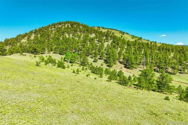 00 County Road 102, Guffey, CO 80820 - photo 22