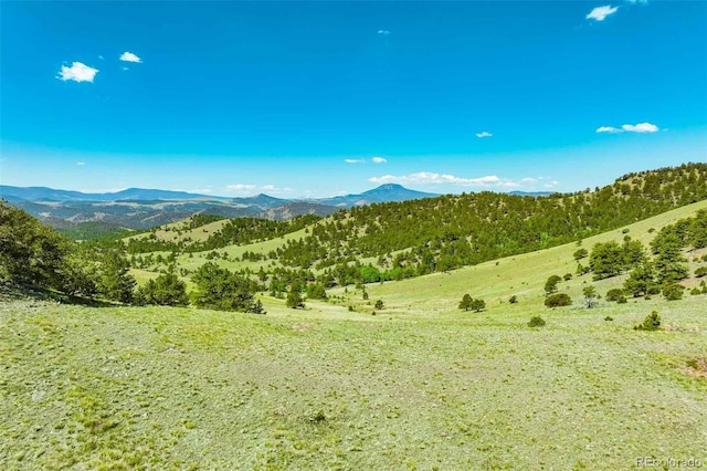00 County Road 102, Guffey, CO 80820 - photo 23