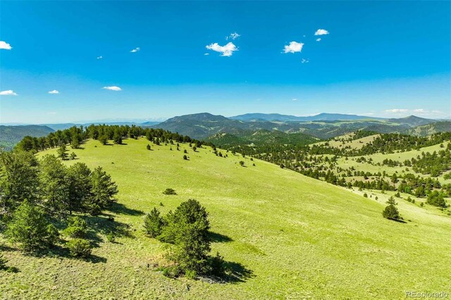 00 County Road 102, Guffey, CO 80820 - photo 24