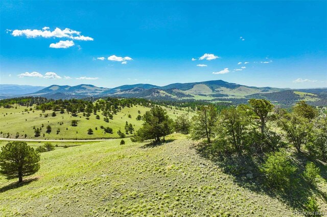 00 County Road 102, Guffey, CO 80820 - photo 25