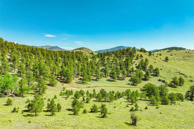 00 County Road 102, Guffey, CO 80820 - photo 26