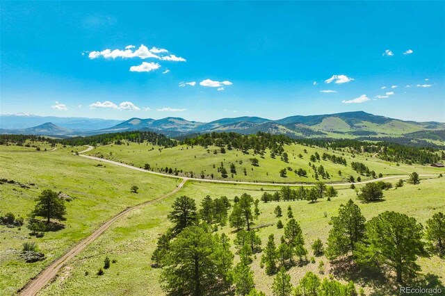00 County Road 102, Guffey, CO 80820 - photo 27