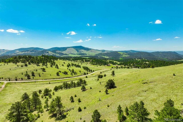 00 County Road 102, Guffey, CO 80820 - photo 28