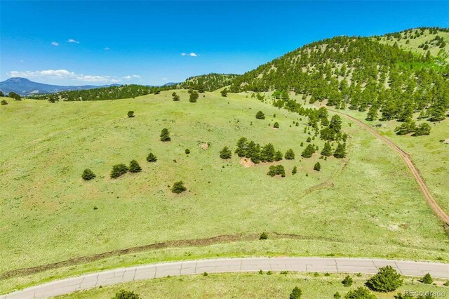 00 County Road 102, Guffey, CO 80820 - photo 30